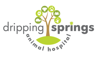 Dripping Springs Animal Hospital-Header & Footer Logo (Updated)